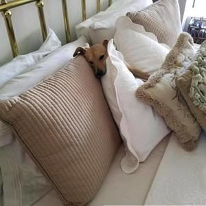 Meet your Posher, Denise